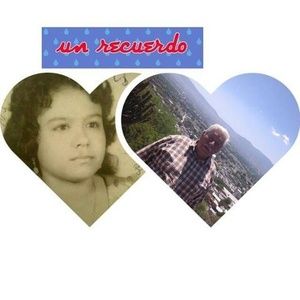 Meet your Posher, Dora